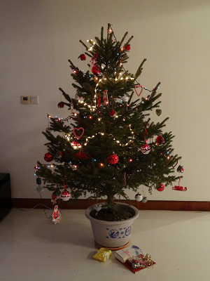 Christbaum Shenyang 2012